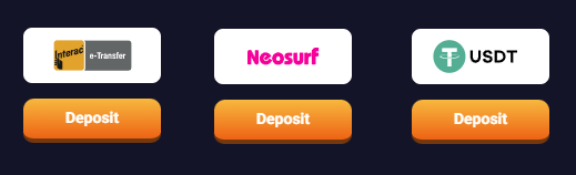 Deposit methods at Casino RetroBet
